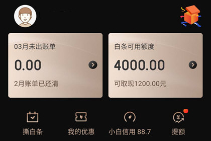 京东白条注销了还能激活吗(京东白条激活失败的原因有哪些)(图3) 京东白条激活失败什么原因怎么办 开通不了解决方法