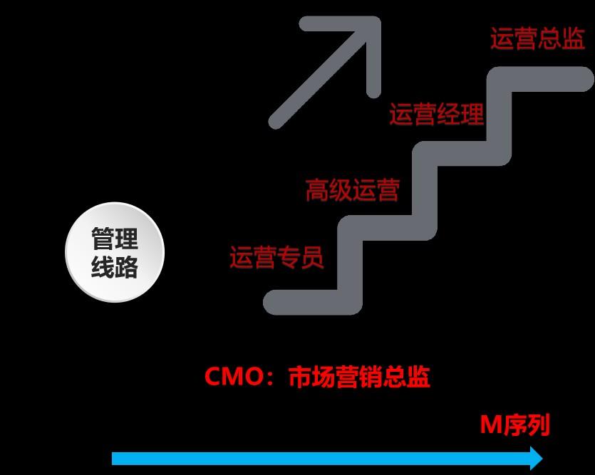 关于运营的职业规划(运营的职业规划怎么说)(图16) 讲清楚运营人的职业规划发展是什么?怎么做